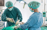 Surgery and Procedure malta, Our Services malta, Vetcare Animal Clinic malta