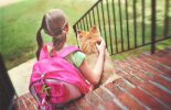 Preparing your pet for Back-to-School routine malta,  malta, Vetcare Animal Clinic malta